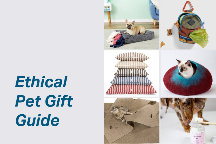 Ethical Pet Gift Guide