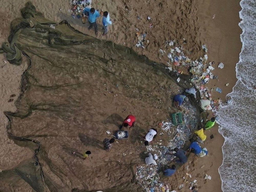 LonelyWhalesbeach-cleanup-plastic-pollution.jpg
