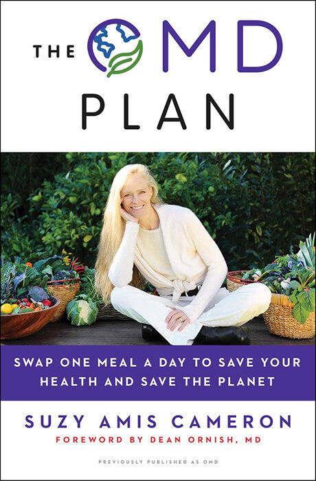 The OMD Plan: One meal a day to save your health and save the planet