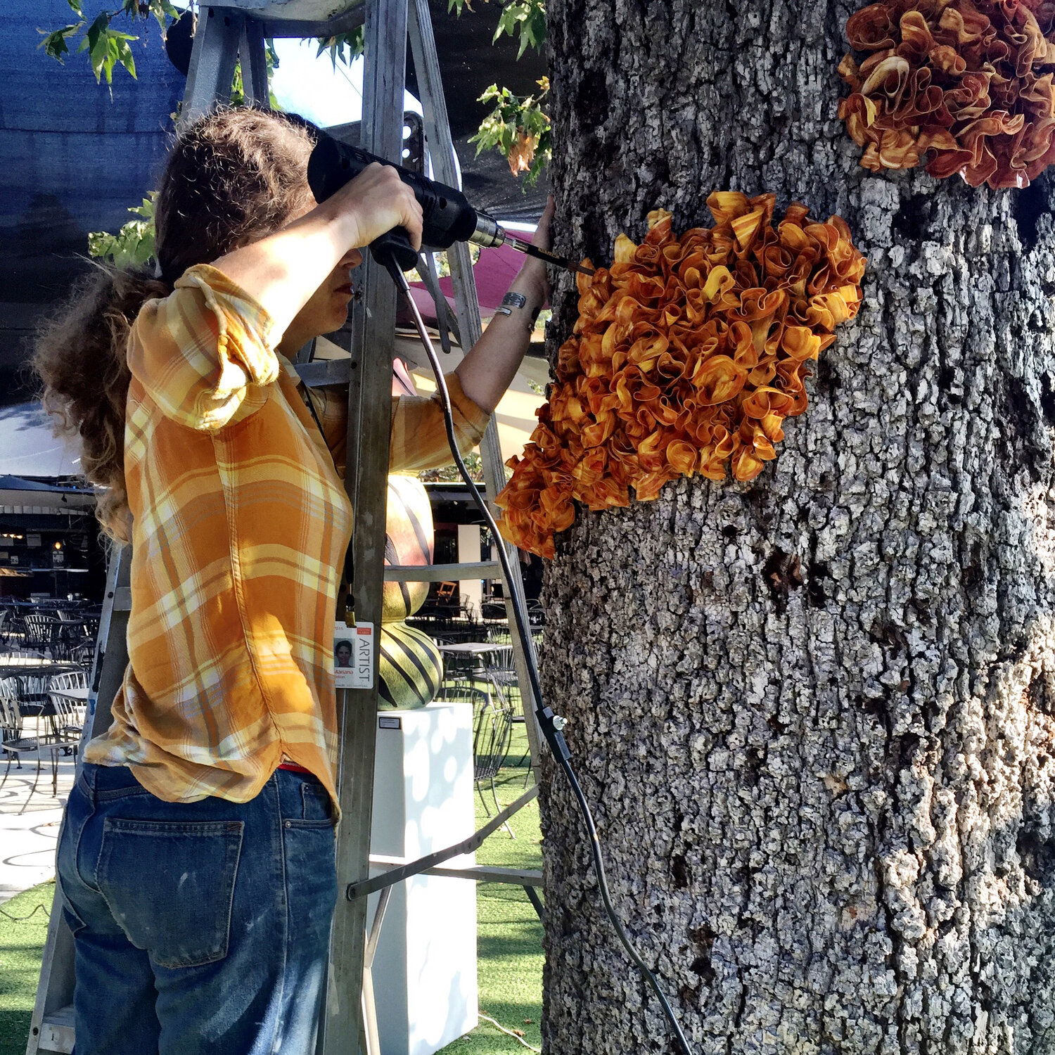 Installing Tree Fungus