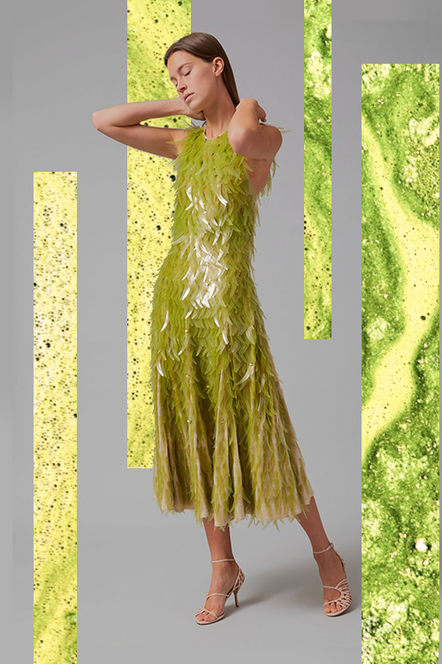 algae_science_fashion.png