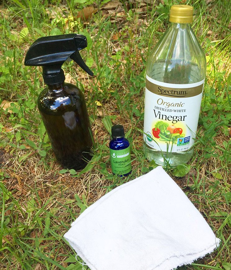 bottle of organic white vinegar, essential oil + glass spray bottle