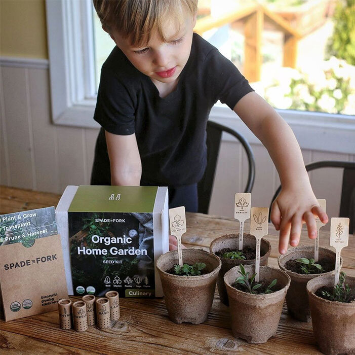 Spade to Fork Organic Home Garden Kit