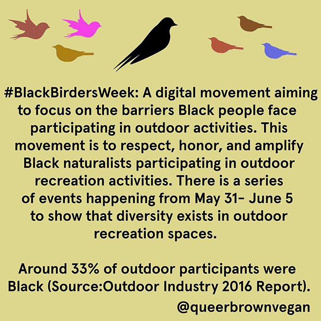 blackbirdersweek