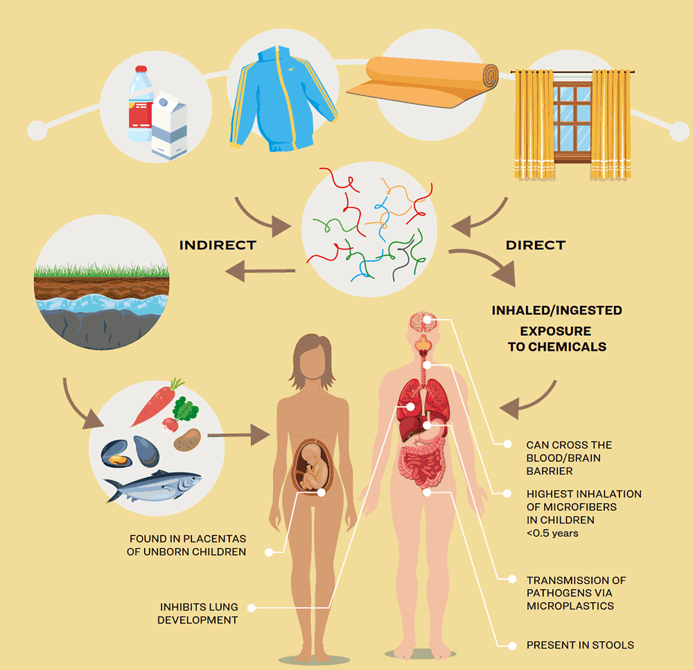 there are many ways that microplastics get into our bodies and harm us