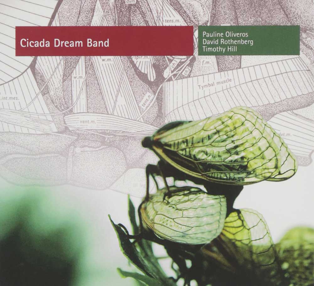 Deep listening for slow living with Cicada Dream Band –Pauline Oliveros, David Rothenberg and Timothy Hill