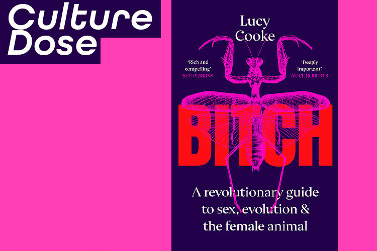 Culture Dose | Bitch | Disclosure | Getting Curious
