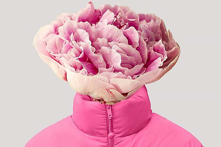 flower blooming in place of a head on pink pangaia flwrdwn jacket