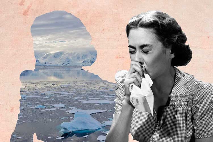 environmental grief is real