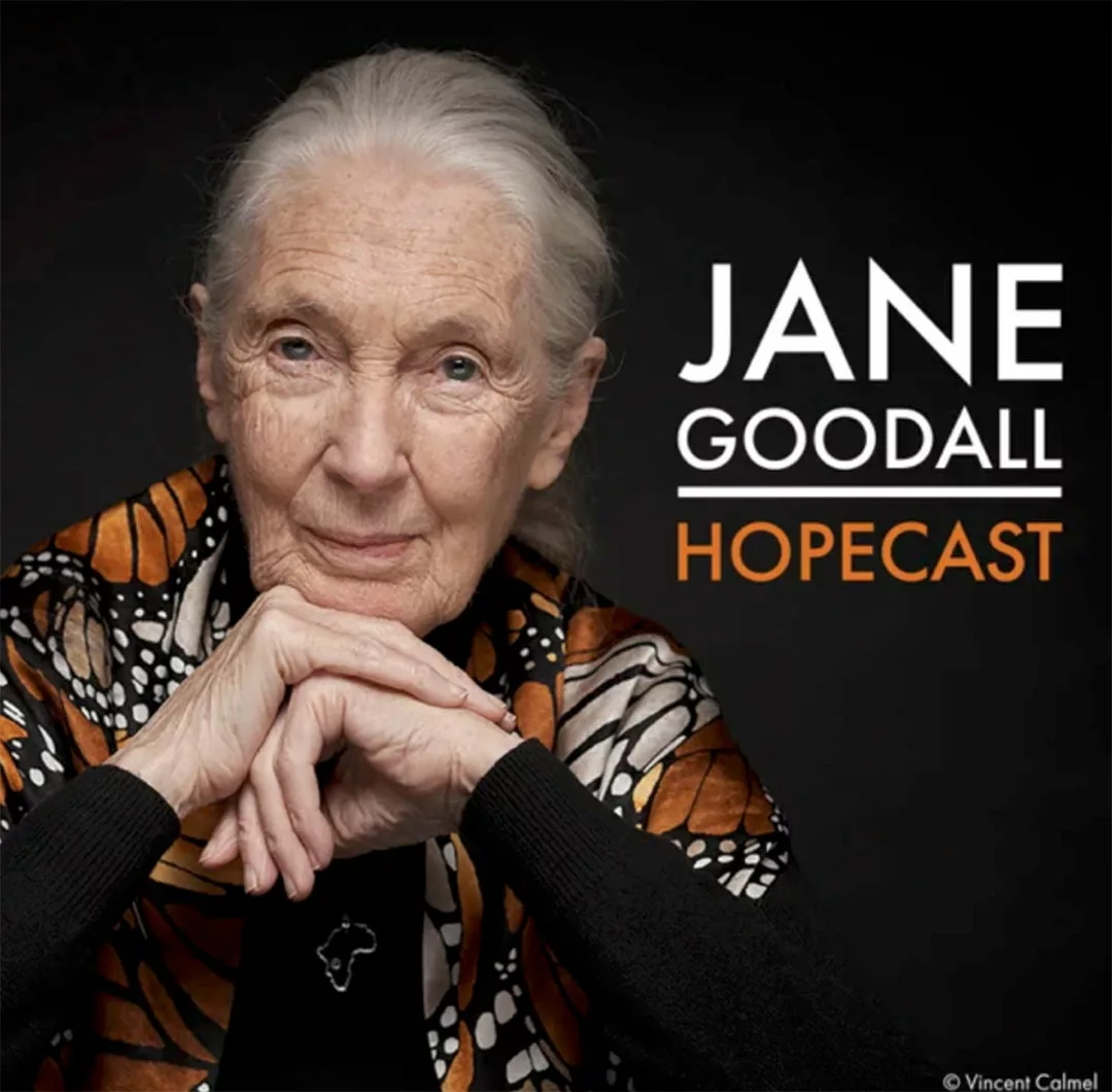 image of jane goodall