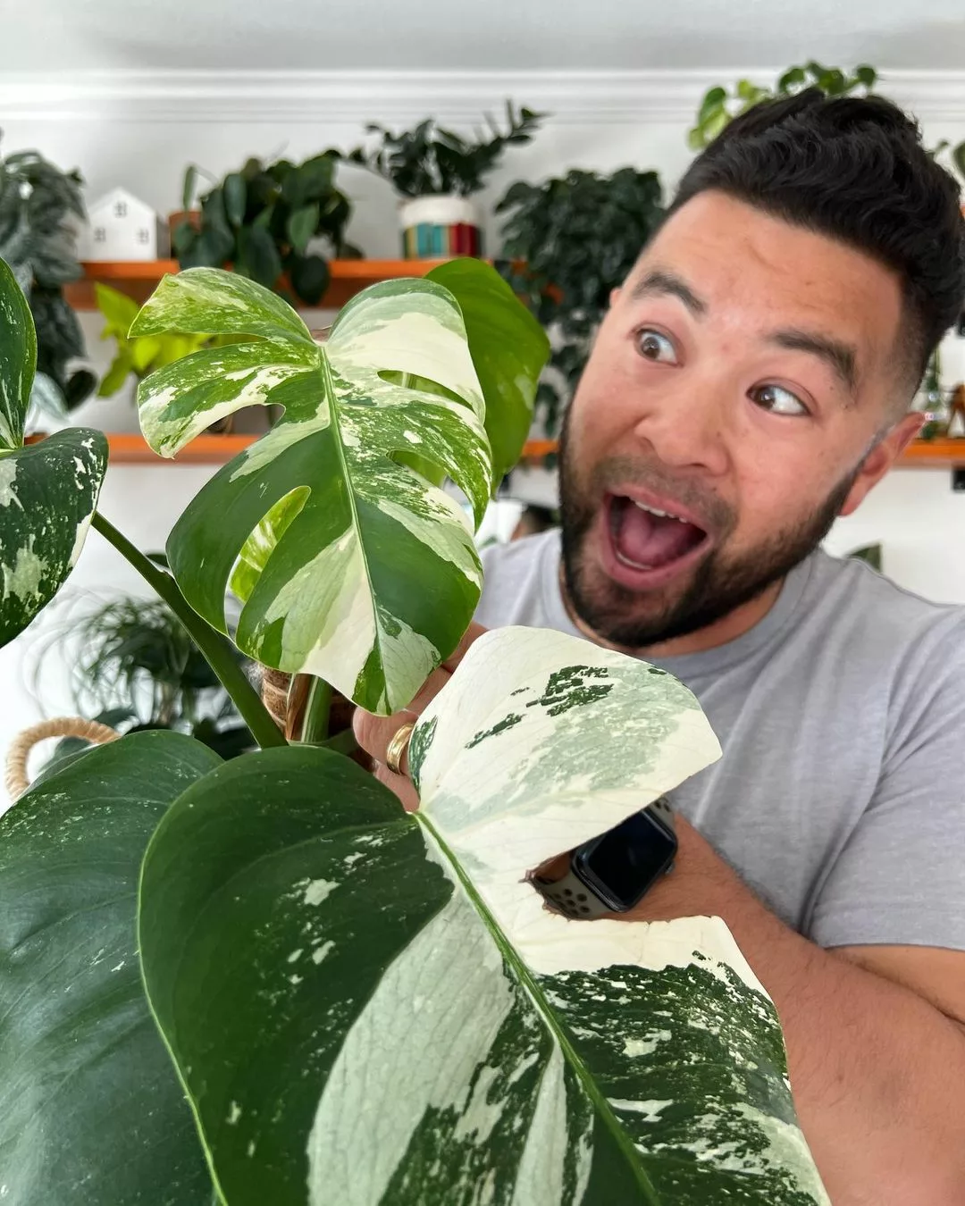 Jeff of _thevibespace holding a big plant