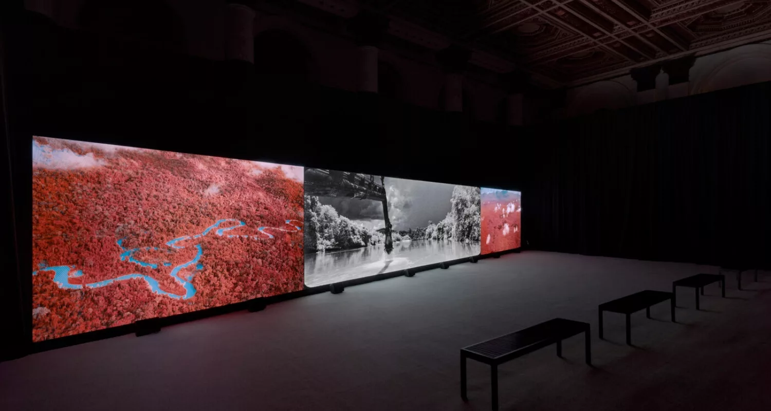 view of Richard Mosse's Broken Spectre video installation at the Jack Shainman Gallery in Tribeca